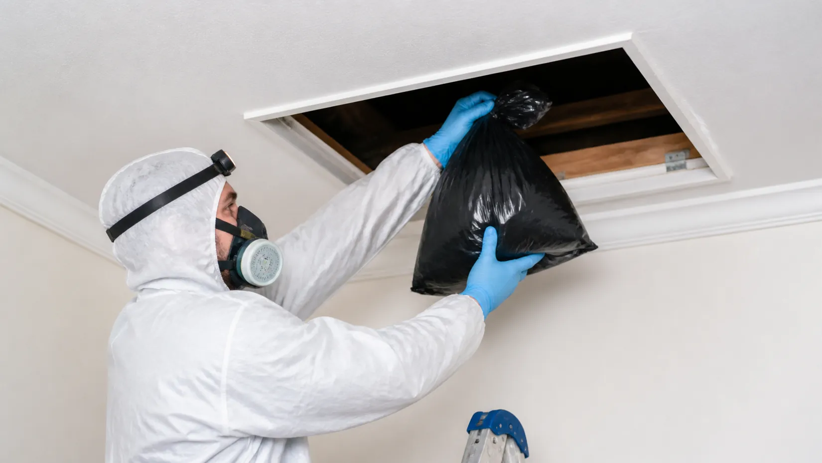 Technician in a protective suit and respirator removing a sealed bag through a ceiling manhole