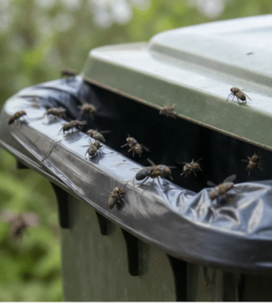 Flies around the open lid and liner of a wheelie bin
