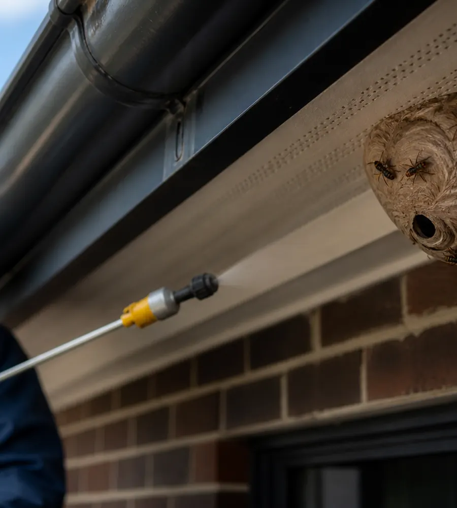 Technician in full protective gear treating a wasp nest under a roof gutter
